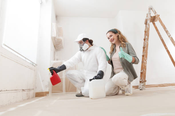 Biohazard Mold Removal in Aurora, MO